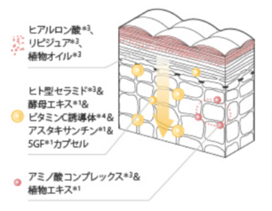 ペプチド配合で肌に張りを与える