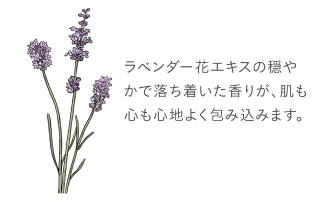 リラックス効果の高い穏やかなラベンダーの香り