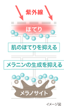 効果を認められたWの有効成分